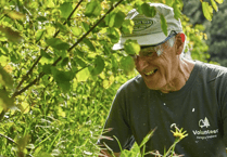 Forest of Dean's job growth in February