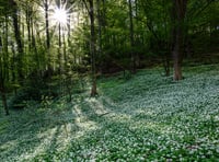 Wildlife photography competition 2026 returns