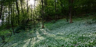 Wildlife photography competition 2026 returns