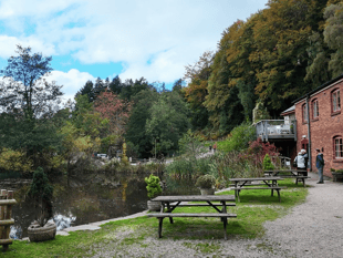 Dean Heritage Centre wants Christmas stalls