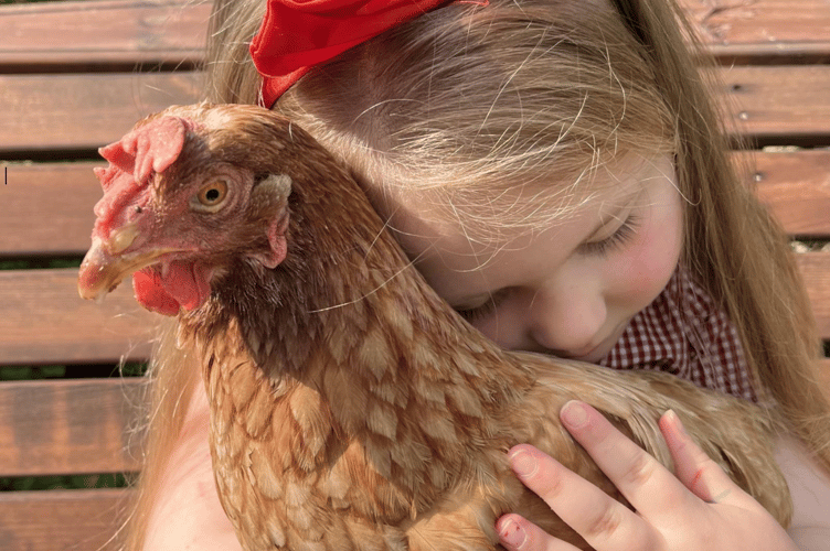 Poppy and her hen