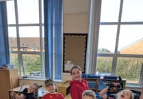 Forest schools join record songwriting project