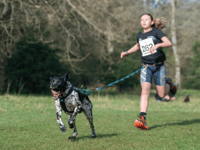 Canicross talent Daisy wins national silver