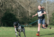Canicross star Daisy wins silver medal
