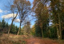 1950s nuclear waste plan in Dean mines halted