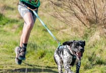 Daisy O'Donnell wins at Canix Fur Nations