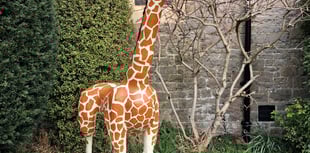 Feature creatures on Tutshill Scarecrow Trail