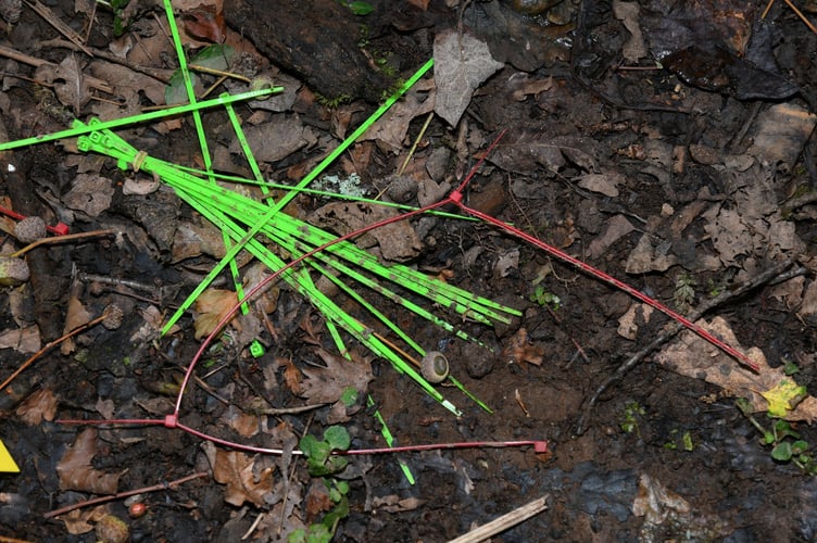 Some of the plastic zip ties found beside the woodland hole