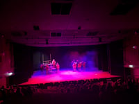 Forest youth theatre shines at national festival