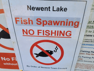 Fishing paused at Newent Lake for spawning