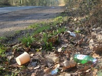 Forest blighted by 200 tonnes of litter