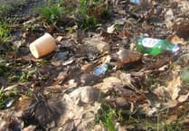 Forest blighted by 200 tonnes of litter