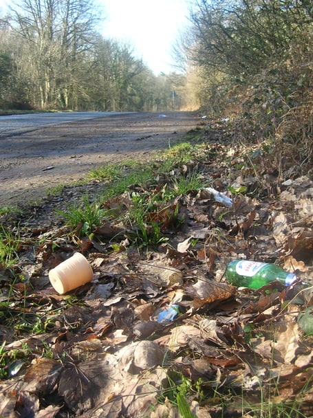 Around 200 tonnes of litter was collected from roadsides across the Forest last year.
