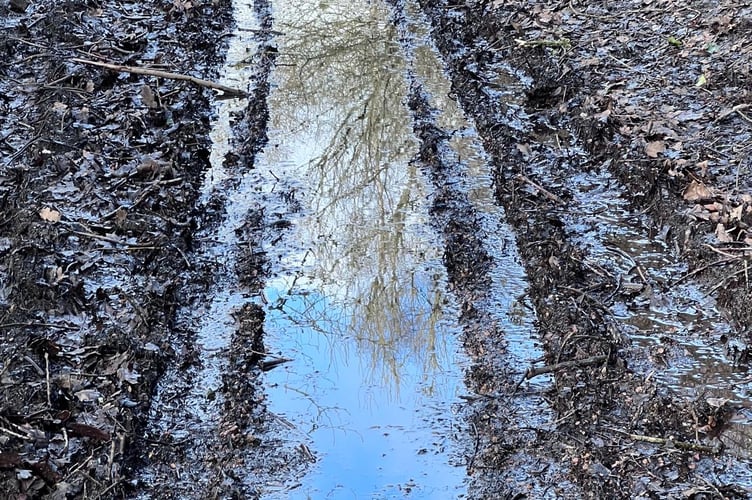 Coleford cycle track mud 