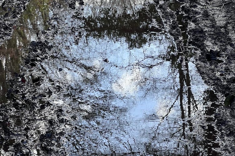 Coleford walking track