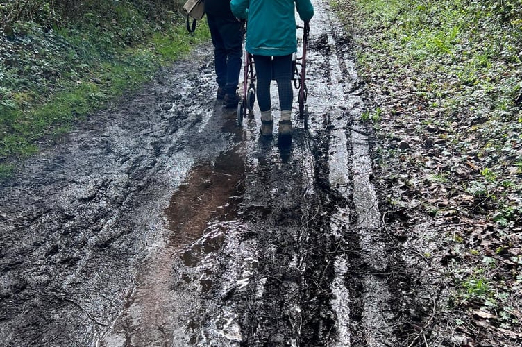 Coleford walking track