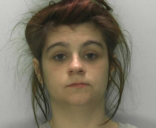 Appeal to find woman accused of stealing toys from Cinderford shop