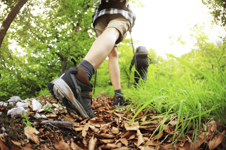 Residents are invited to come together at Beechenhurst for a day of walks, activities and reflection to raise awareness and support those affected by dementia.