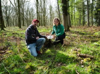 Bronze Age axe found in Forest