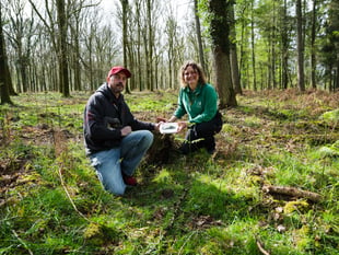 Bronze Age axe found in Forest