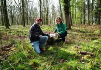 Bronze Age axe amazes archaeologists