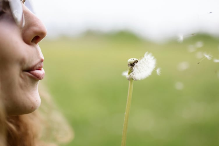 Pollen