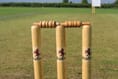 Taunton & District Youth Cricket League preview