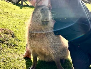Bill Bailey and rock star Ricky visit Wye Valley sanctuary for TV show