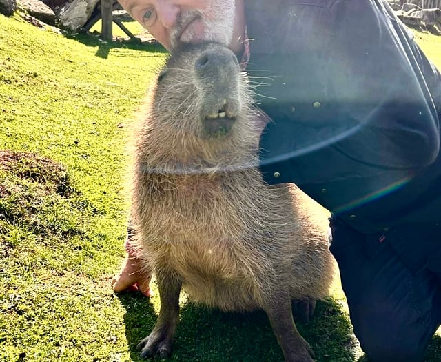 Bill Bailey and rock star Ricky visit Wye Valley sanctuary for TV show