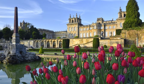 One of Britain’s most extraordinary days out at Blenheim Palace 