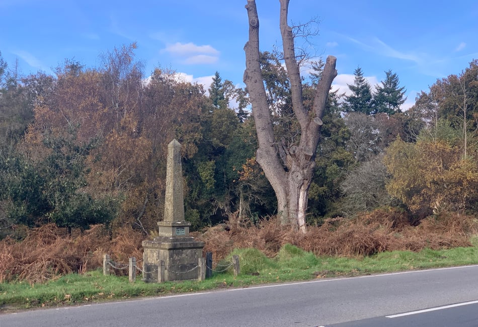 40mph limit call to stop 'bloody carnage' on Forest roads