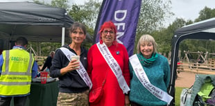 The importance of the FODDAA's memory walk