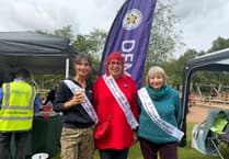 Memory walk highlights importance of dementia awareness