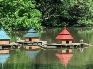 Community picnic at Newent Lake