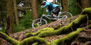 Forest of Dean Cycle Centre triumphs at Gloucestershire Awards
