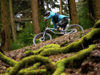 Forest of Dean Cycle Centre triumphs at Gloucestershire Awards