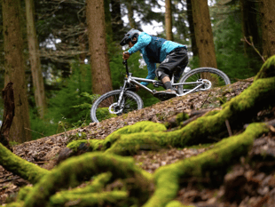 Forest of Dean Cycle Centre triumphs at Gloucestershire Awards