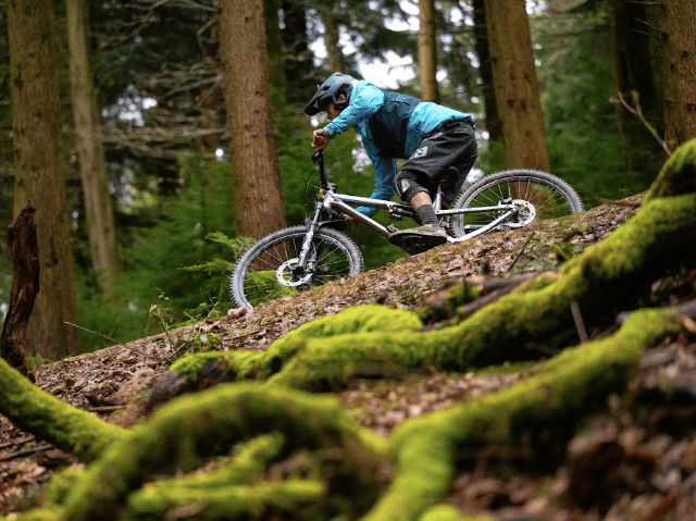 Forest of Dean Cycle Centre triumphs at Gloucestershire Awards