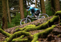 Forest of Dean Cycle Centre wins top award
