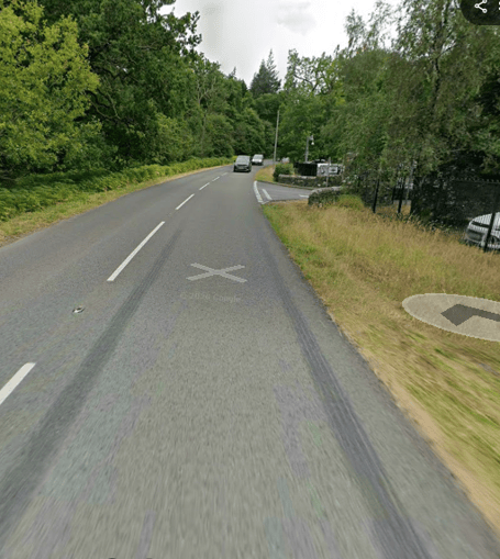 Forest road