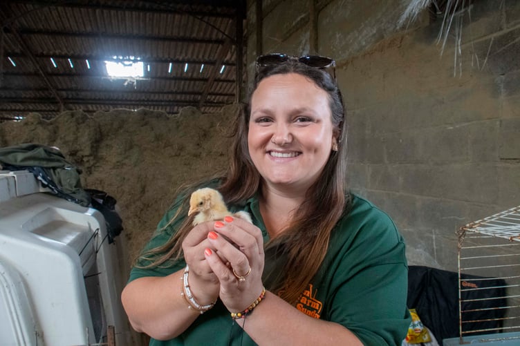 Jade Frazer-Holland of Lydney-based Potter's Poultry with a chick