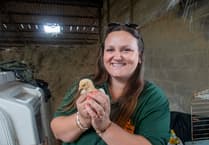 Hundreds go behind the scenes at the farm