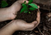 Forest Council highlights Great Big Green Week