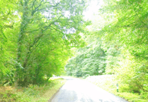 Drybrook drivers warned of upcoming Hawthorns Road closure