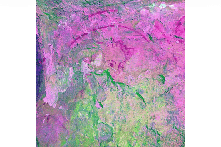 Part of a face painted 800 years ago has been found in the chapel at Goodrich Castle