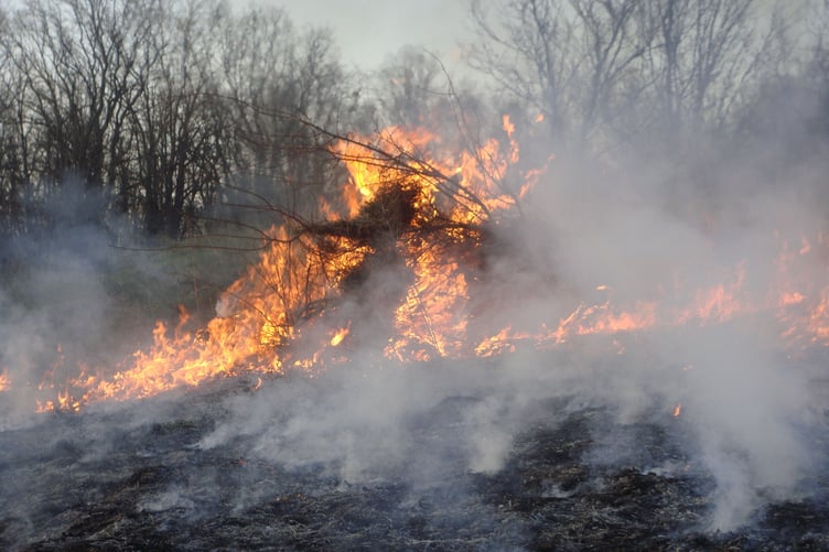 Wildfire stock image
