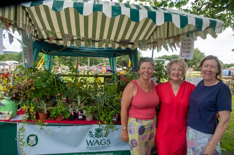 Linda Lewis, Joanna Hamm and Natalie Ellis of Woolaston Amateur Gardening Society.