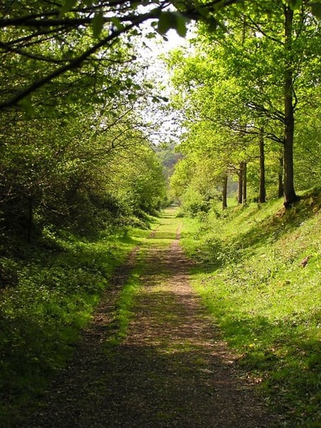 The Wye Valley Walk is a popular trail