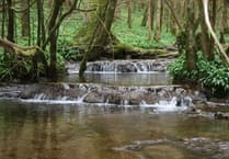 Newland Parish Council hosts community event for River Wye support