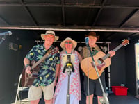 Sunshine and sounds at Coleford Busking Festival